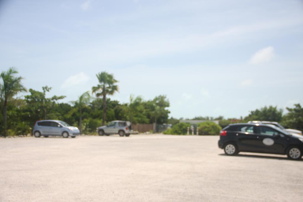 Carib Club Leilighet Grace Bay Eksteriør bilde